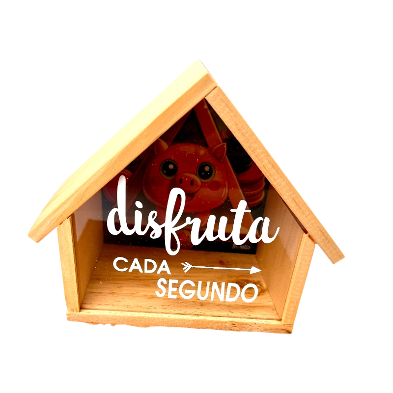 3021_7 Alcancia Casita